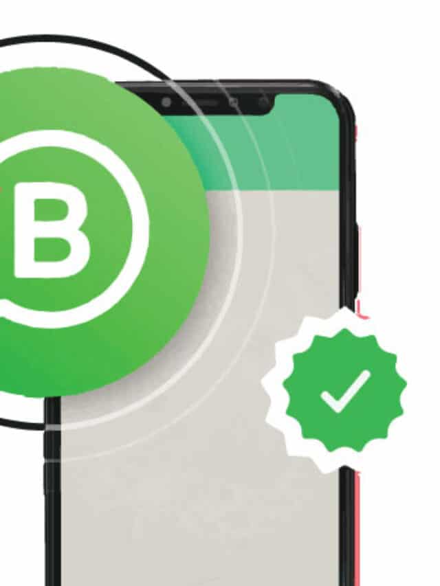 cropped-What-exactly-is-the-Verified-Account-Badge-or-the-Green-Tick-on-WhatsApp-l-NeoDove-.jpg